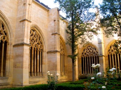 Segovia - Catedral, claustro 15