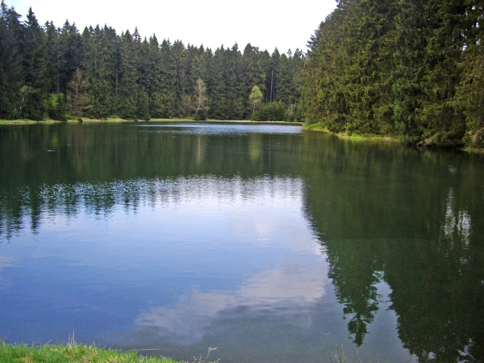 Semmelwieser-Teich-03