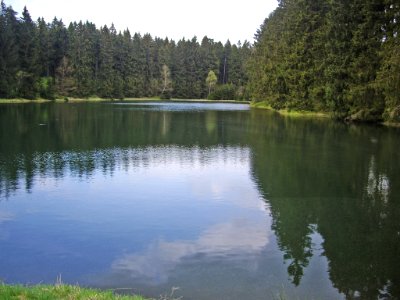 Semmelwieser-Teich-03