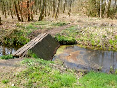 Seppenser Bach, Treibgutrechen, 2019-04