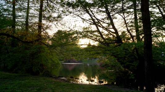 Sempione Park Spring 2018 (255819397)