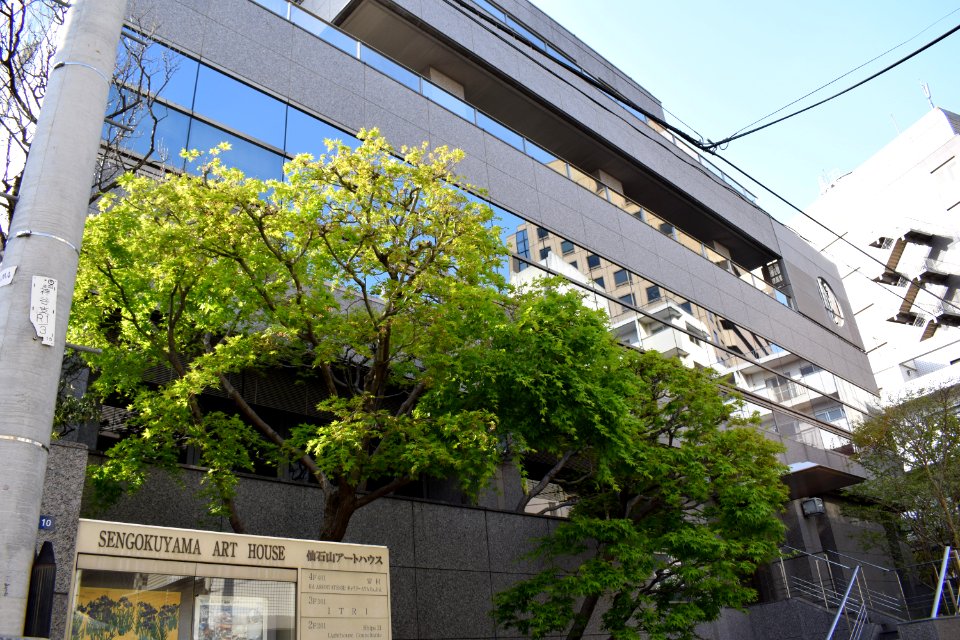 Sengokuyama Art House