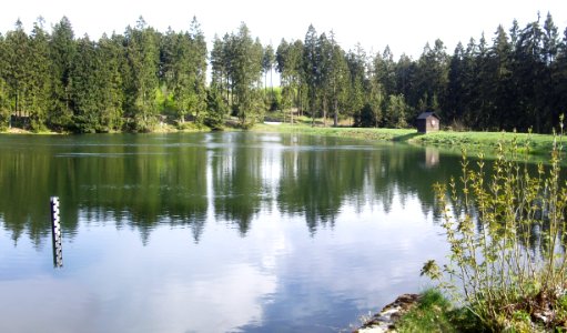 Semmelwieser-Teich-10