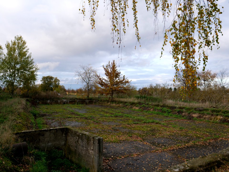 Septic drain field Großbeeren on 2019-11-05 03