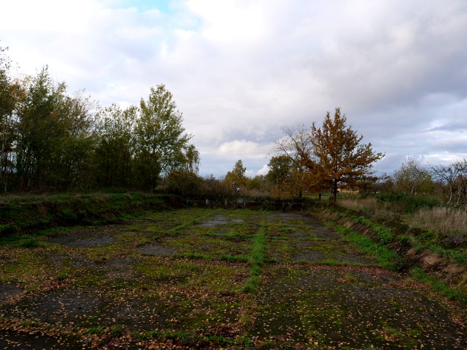 Septic drain field Großbeeren on 2019-11-05 05