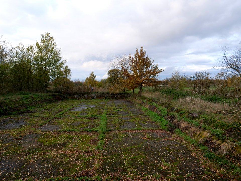 Septic drain field Großbeeren on 2019-11-05 06