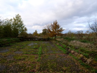 Septic drain field Großbeeren on 2019-11-05 07