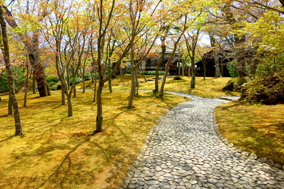 Sekirakuen Garden - Hakone, Kanagawa, Japan - DSC08002