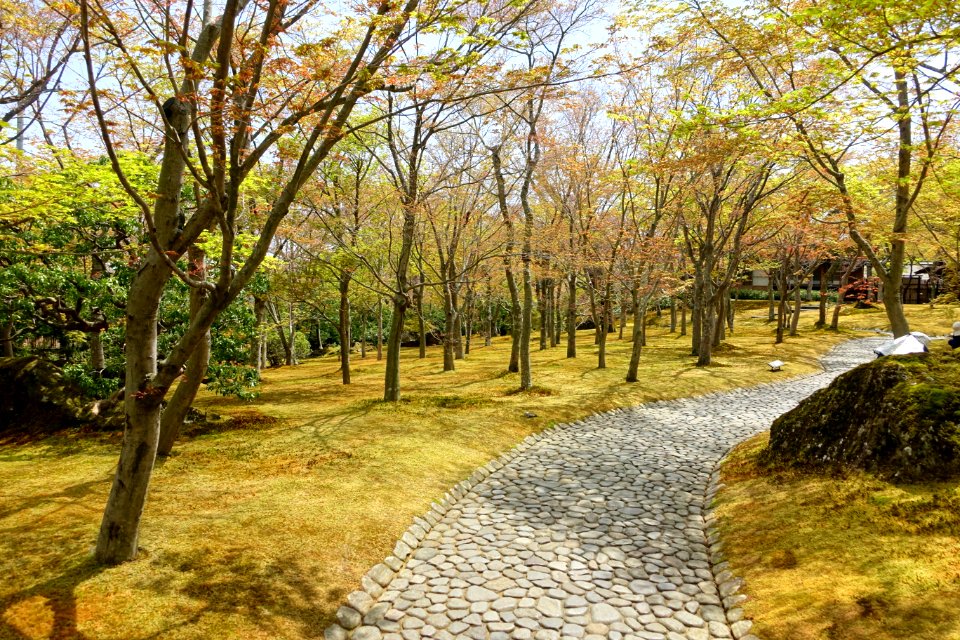Sekirakuen Garden - Hakone, Kanagawa, Japan - DSC07996