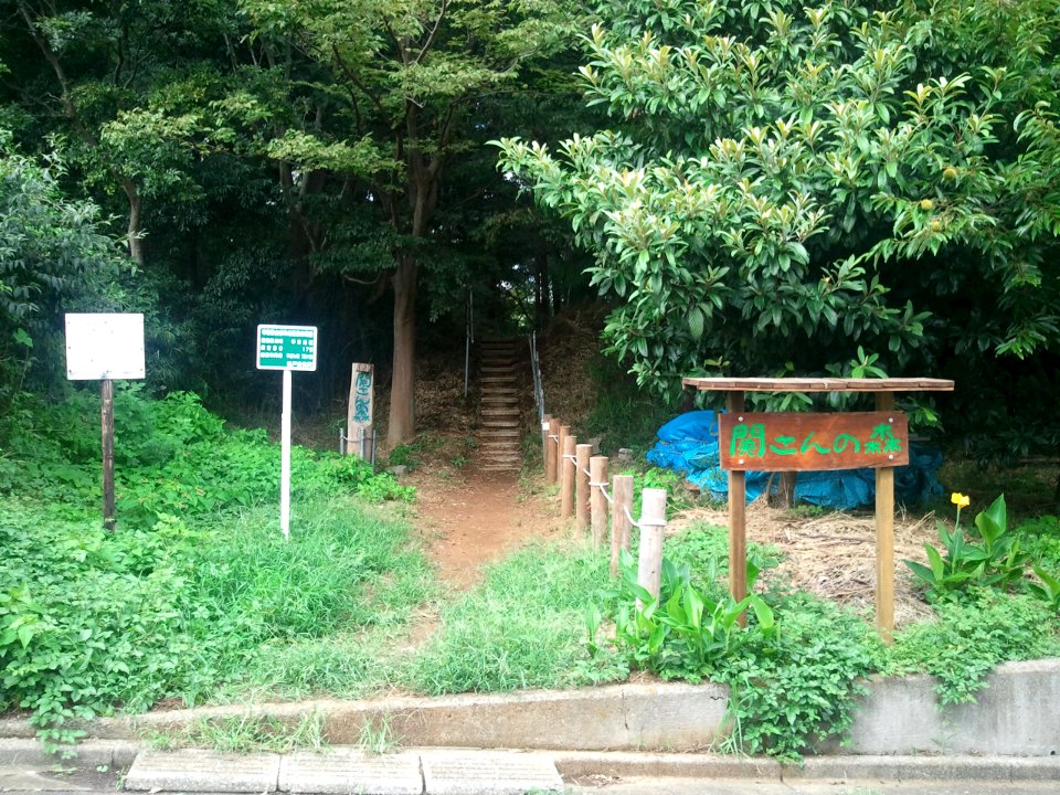 Seki-san no mori south 20120929