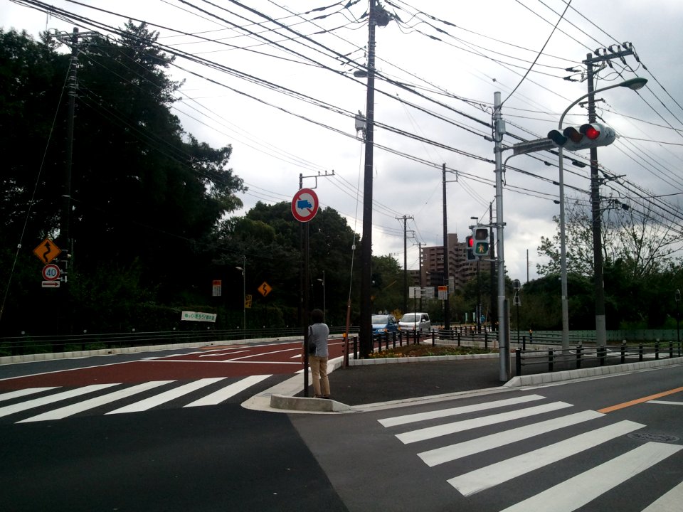 Seki-san no mori and new road 20120929a