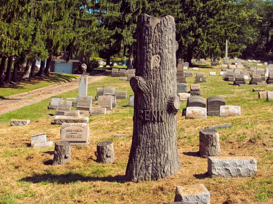 Senn Plot, Rosedale Cemetery, 2015-09-16
