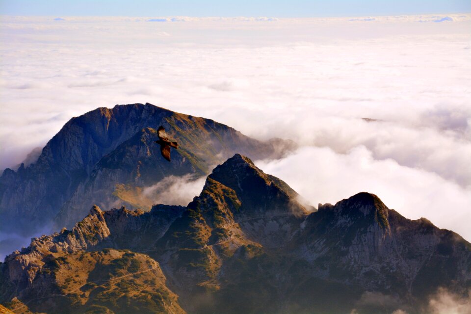 Landscape tops italy photo