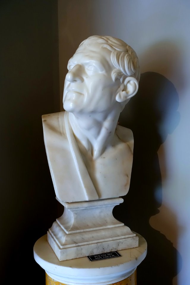 Seneca or perhaps Demosthenes, marble - Shugborough Hall - Staffordshire, England - DSC00303
