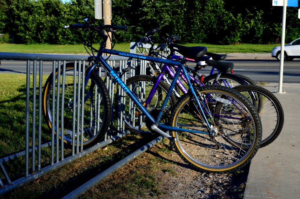 SenecaFinchBicycleRack