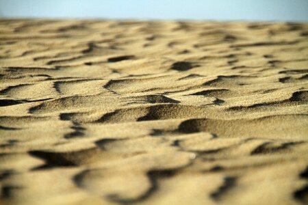 Las palmas maspalomas spain photo