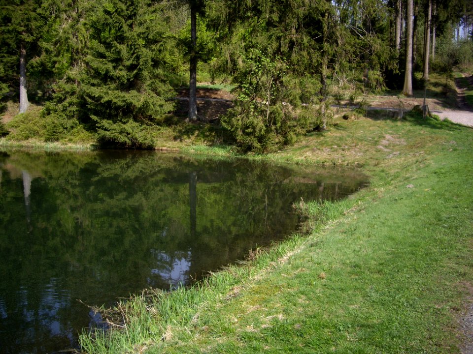 Semmelwieser-Teich-07