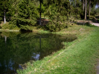 Semmelwieser-Teich-07