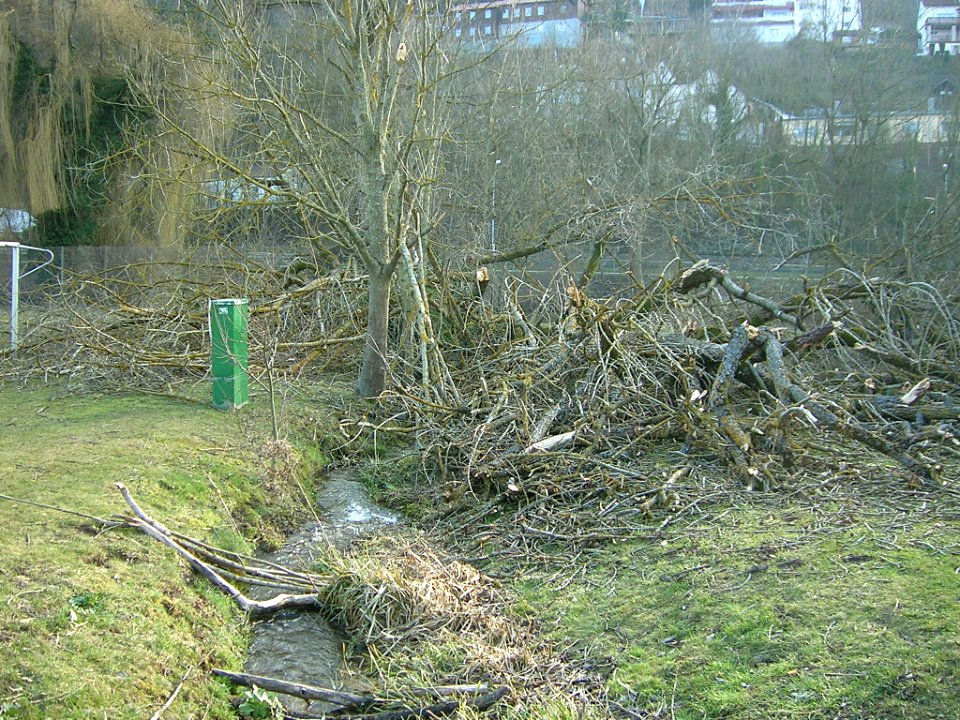 Seminarweg Eichstätt -Baumbruch 2013 (1)