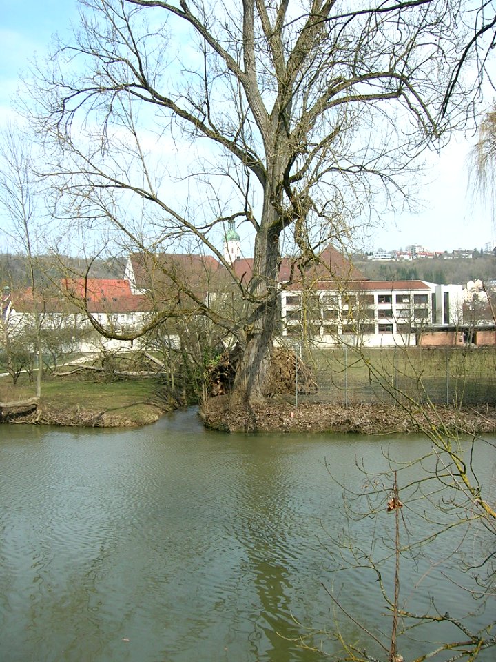 Seminarweg Eichstätt -Baumbruch 2013 (5)