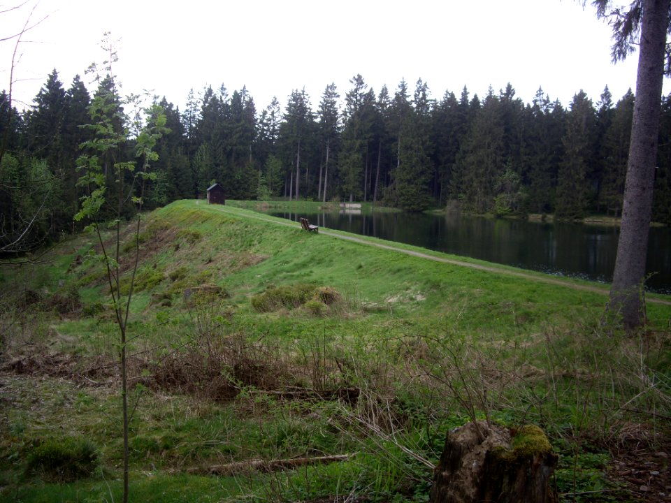 Semmelwieser-Teich-01