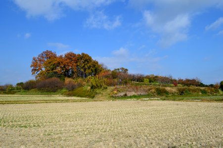 Sengenyama-kofun (Takasaki) zenkei-1 photo