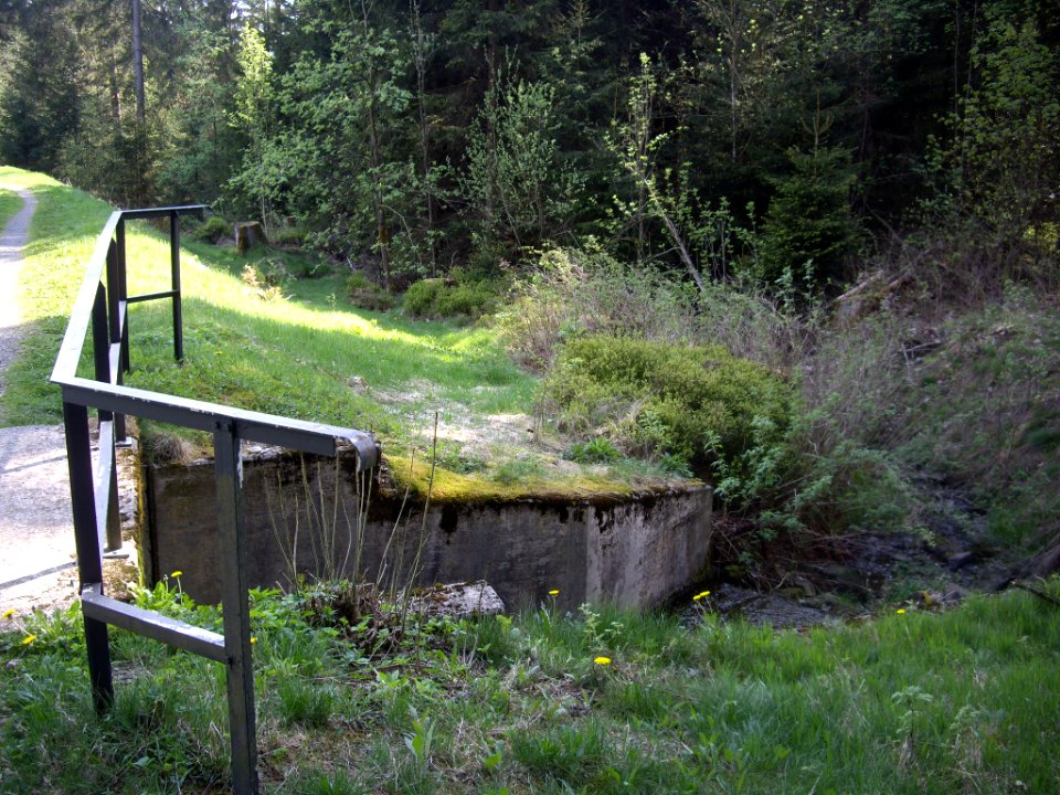 Semmelwieser-Teich-12