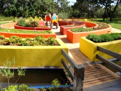 Sensorial Garden (Jardim Botânico de Brasília) - DSC09664