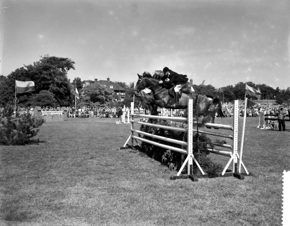 Selectiespringconcours voor het kampioenschap van Nederland in Den Haag, Bestanddeelnr 910-4443