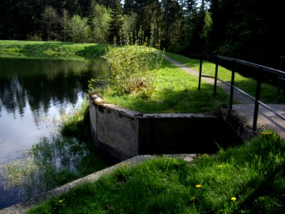 Semmelwieser-Teich-11