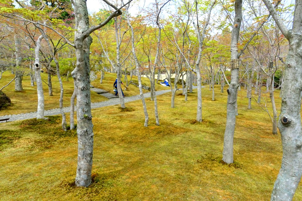 Sekirakuen Garden - Hakone, Kanagawa, Japan - DSC08010
