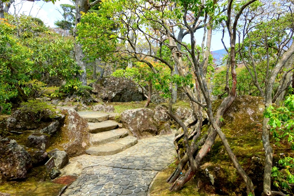 Sekirakuen Garden - Hakone, Kanagawa, Japan - DSC08034