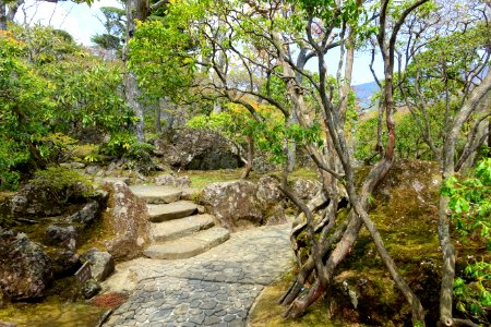 Sekirakuen Garden - Hakone, Kanagawa, Japan - DSC08034