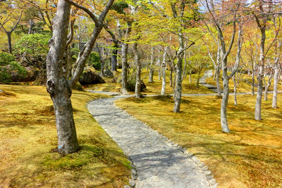 Sekirakuen Garden - Hakone, Kanagawa, Japan - DSC08018