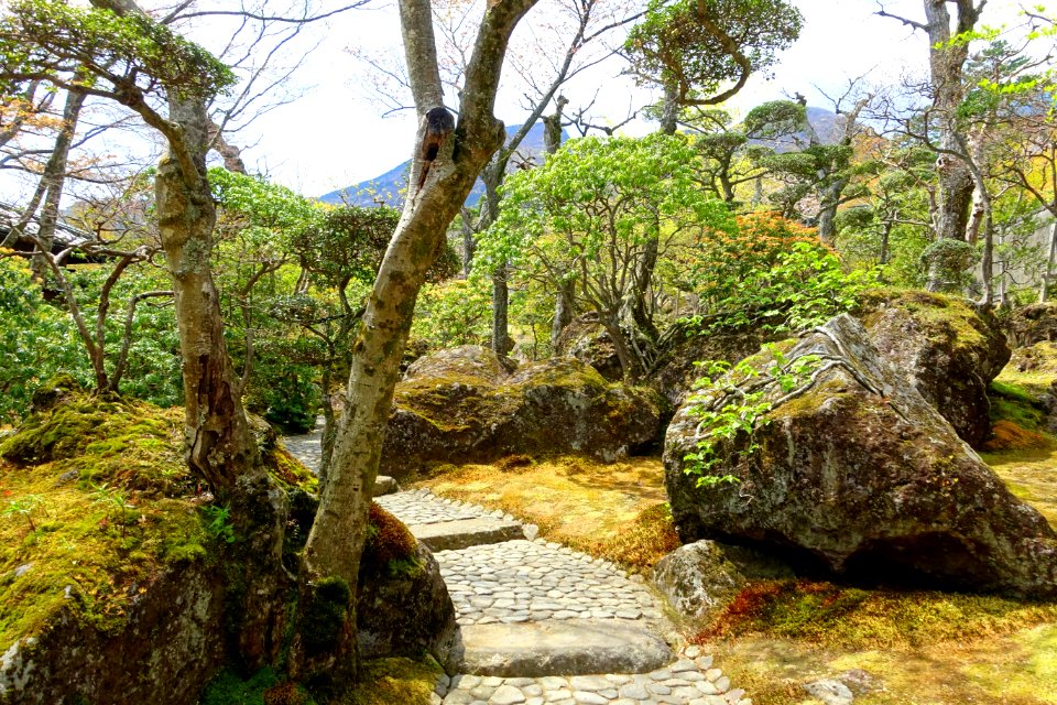 Sekirakuen Garden - Hakone, Kanagawa, Japan - DSC08006