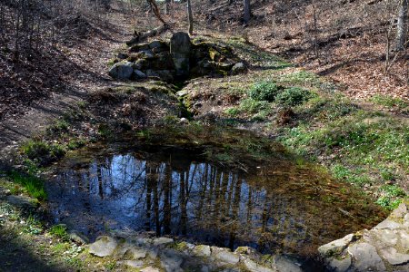 Seifersdorfer Tal Bergquelle (2)