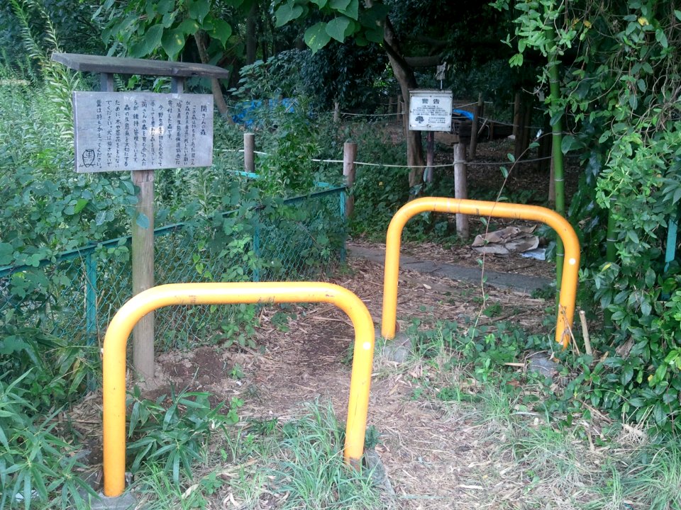Seki-san no mori north 20120929