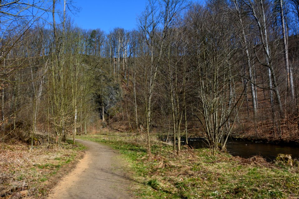 Seifersdorfer Tal Weg (2)