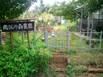 Seki-san no mori farm 20120929