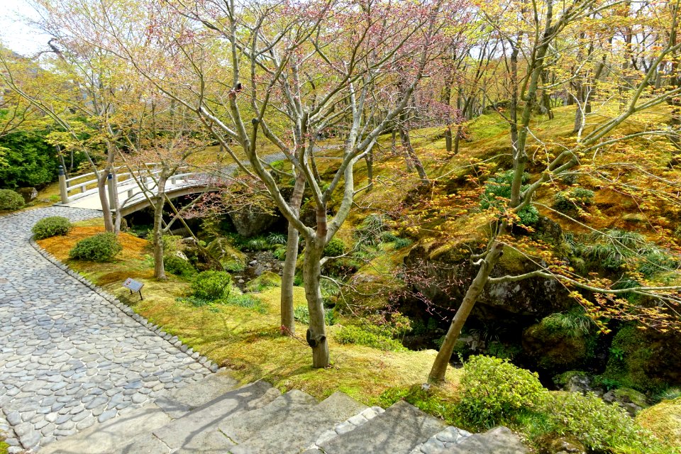 Sekirakuen Garden - Hakone, Kanagawa, Japan - DSC07982