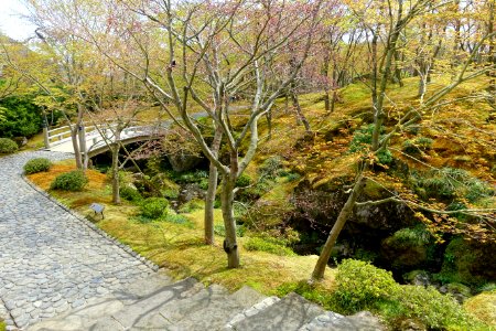 Sekirakuen Garden - Hakone, Kanagawa, Japan - DSC07982