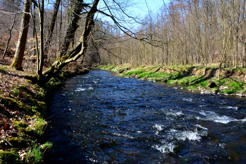 Seifersdorfer Tal Röder