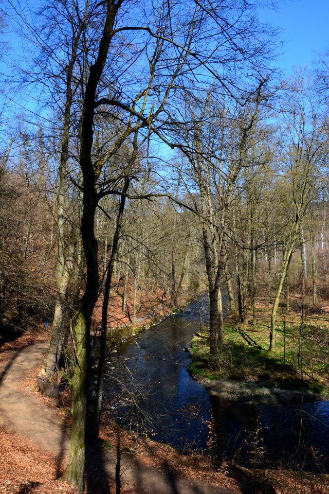 Seifersdorfer Tal Weg und Röder