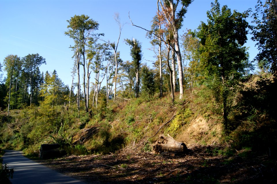 Seifersdorfer tal tornado schaeden