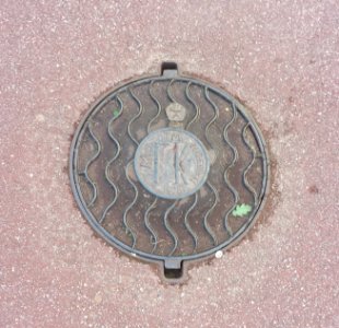 Schachtdeckel Puschkin Katharinenpalast 2