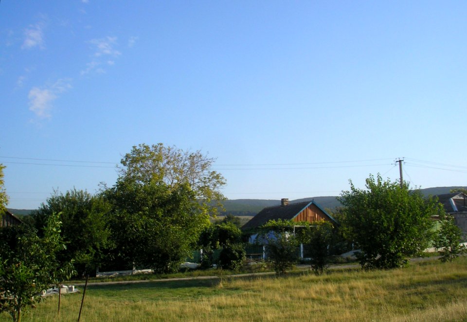 SennoeCr 2