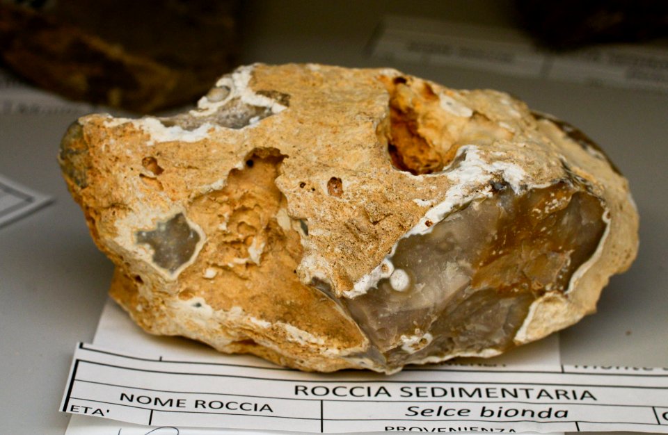 Selce bionda - Collezione mineralogica - Università dell’Insubria