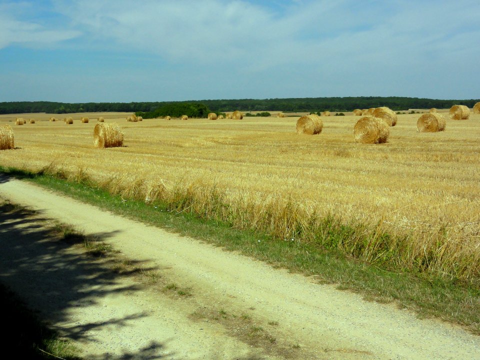Senon (Meuse) paysage