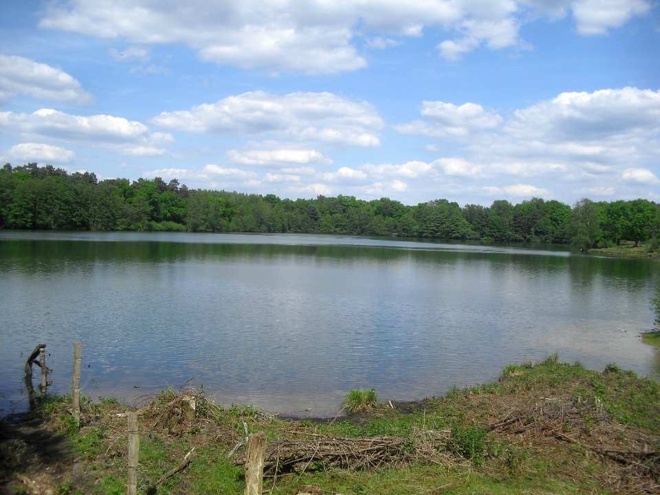 Sennelager - Güsenhofsee - 7