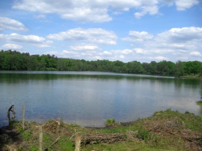 Sennelager - Güsenhofsee - 7